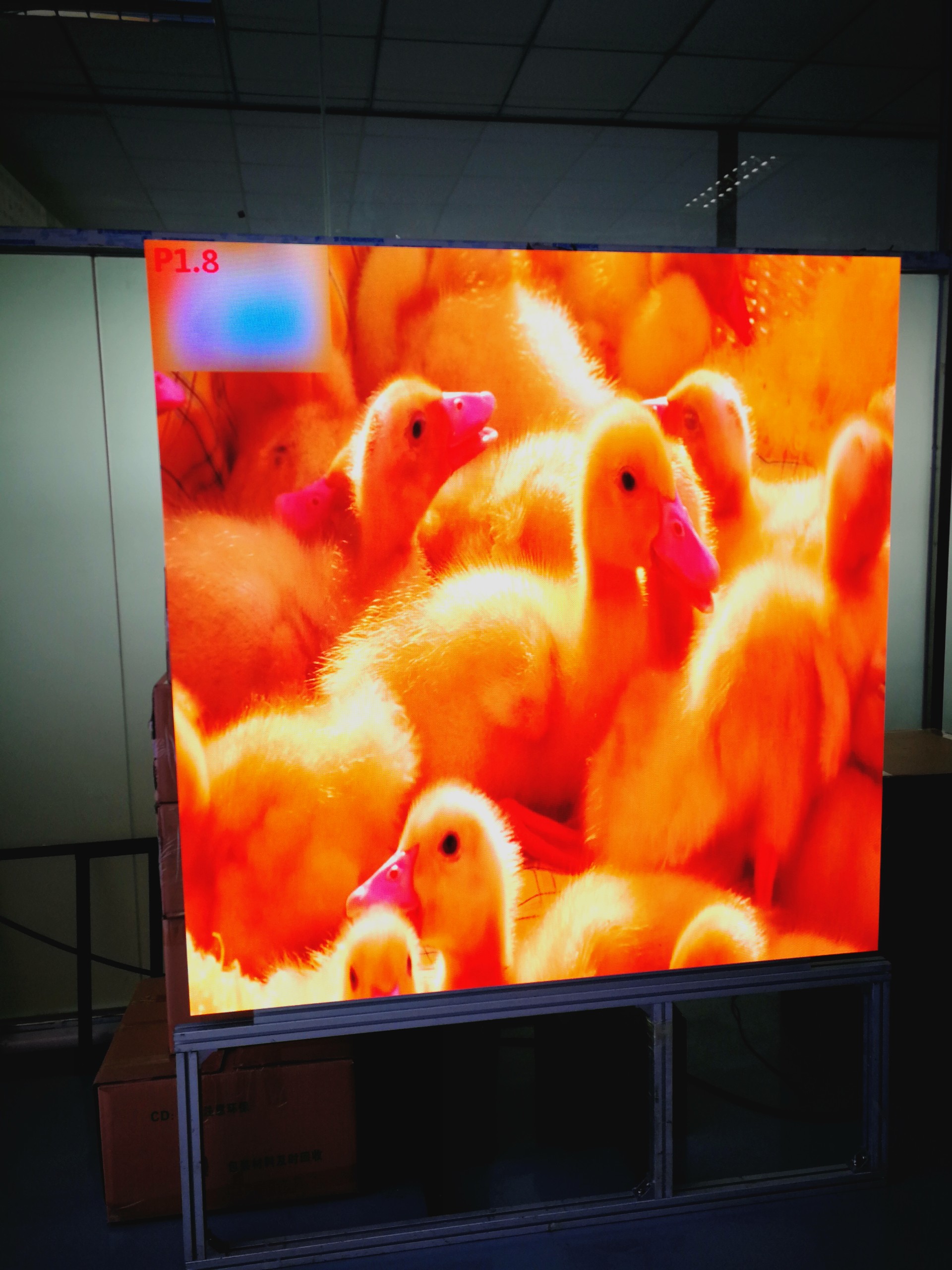 室内LED工程案例