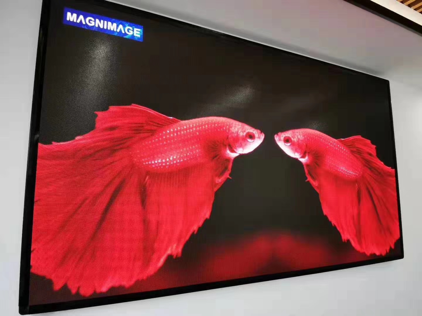 室内LED工程案例