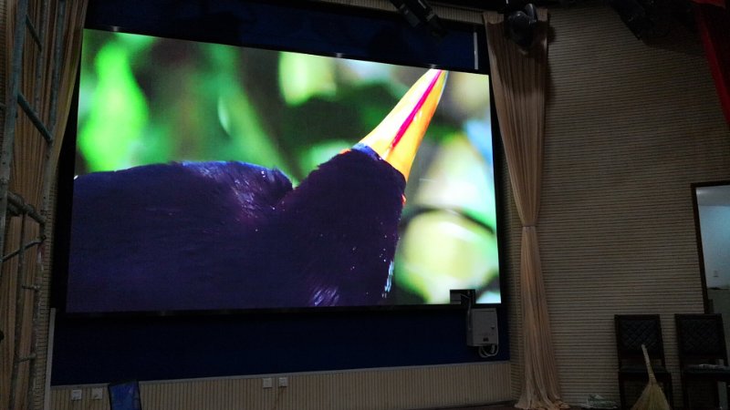 室内LED工程案例